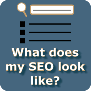 What does my SEO look like?